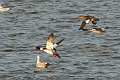 17 01 15_0400_edited-1